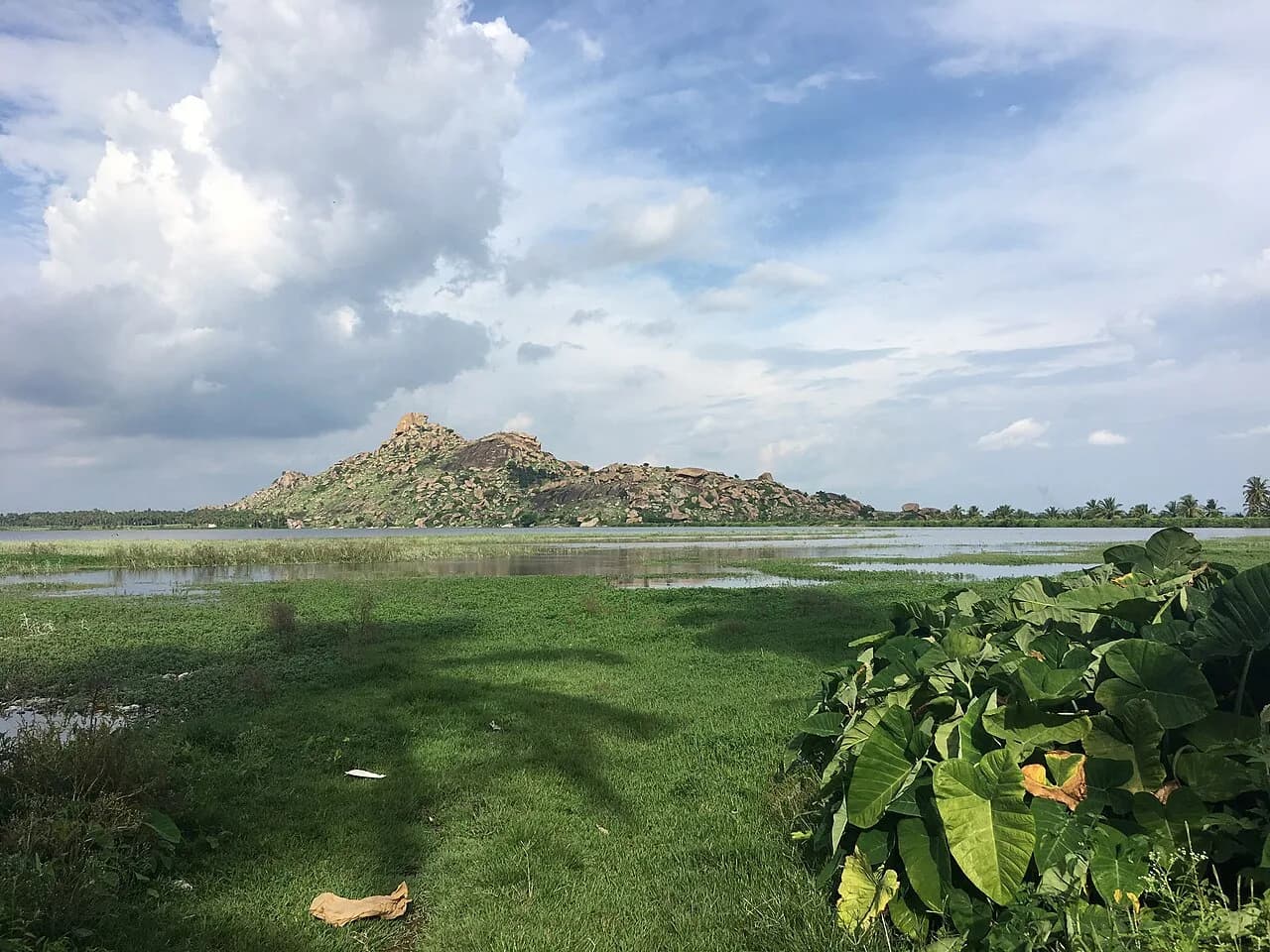 Kunti Betta rising behind a lake near Pandavapura.